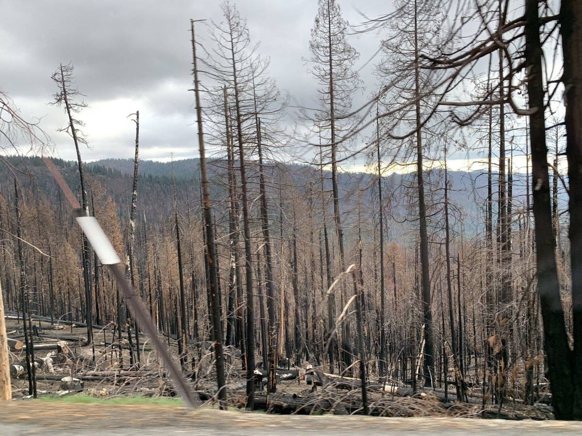 I v Yosemitu se neustále bojuje s požáry..