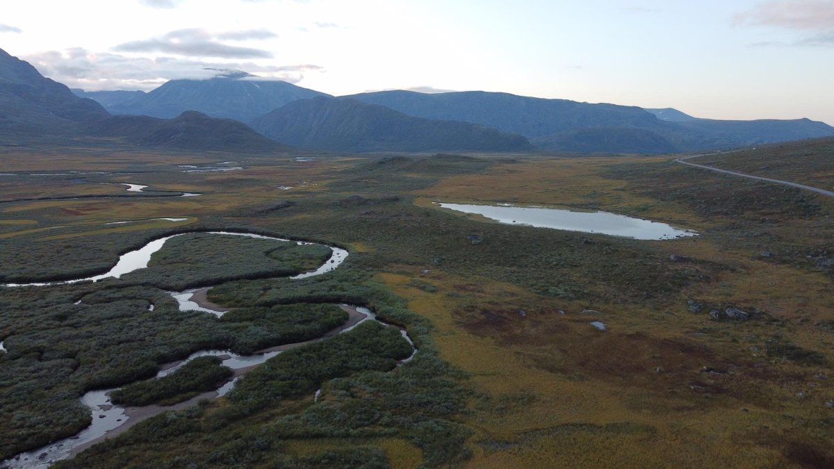 Foceno tak v 9 večer