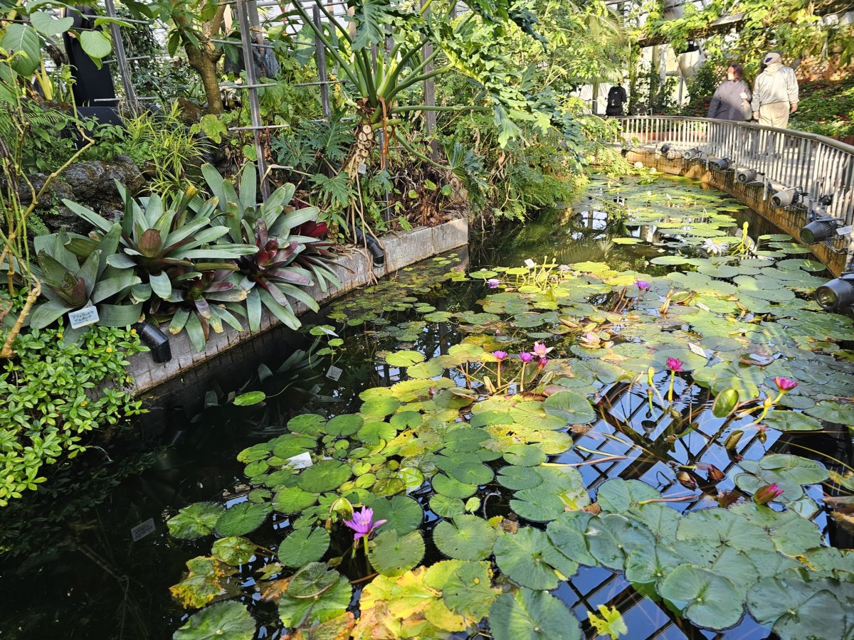 Kyoto Botanical Gardens