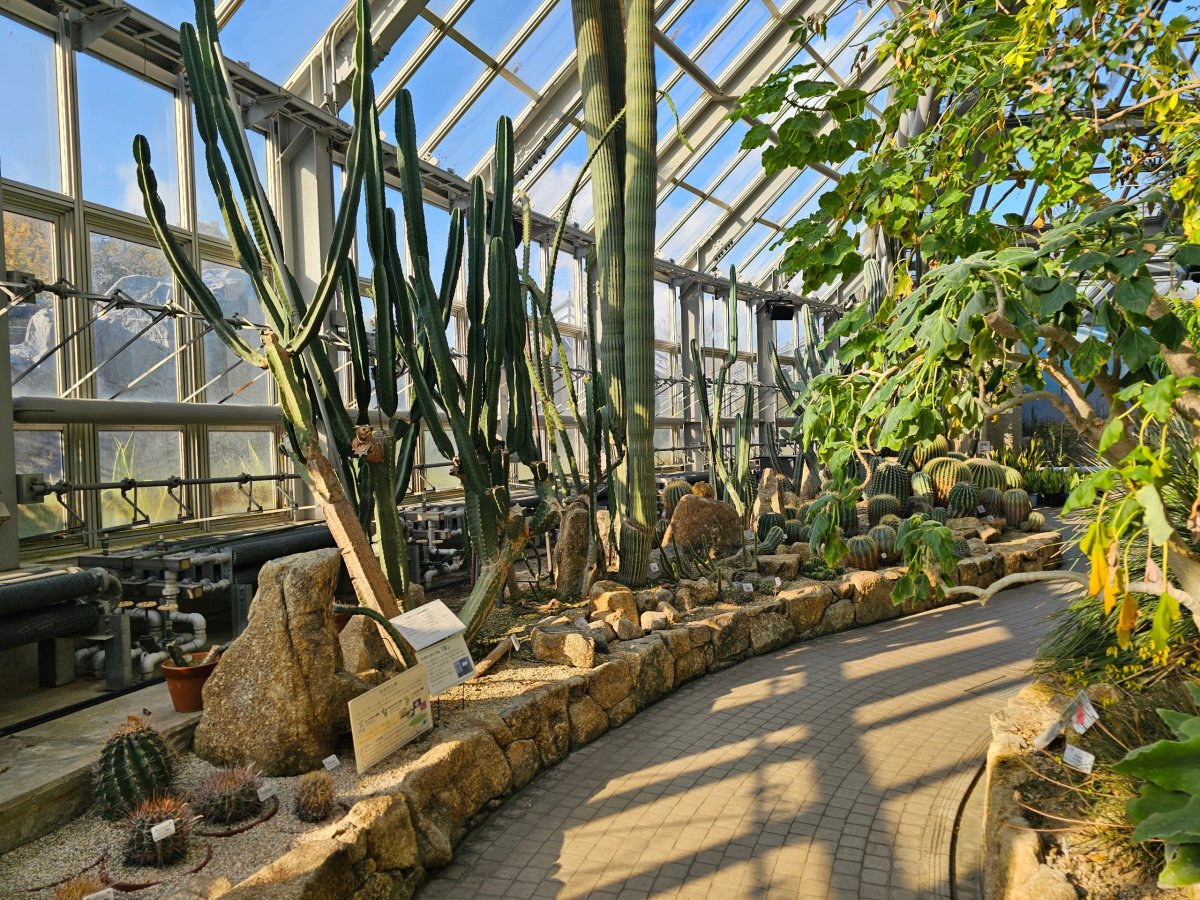 Kyoto Botanical Gardens