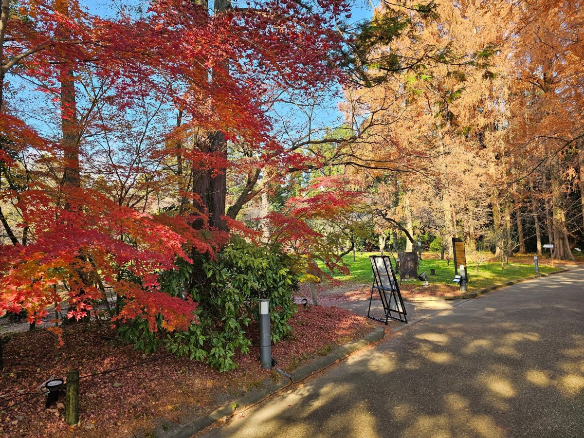 Kyoto Botanical Gardens