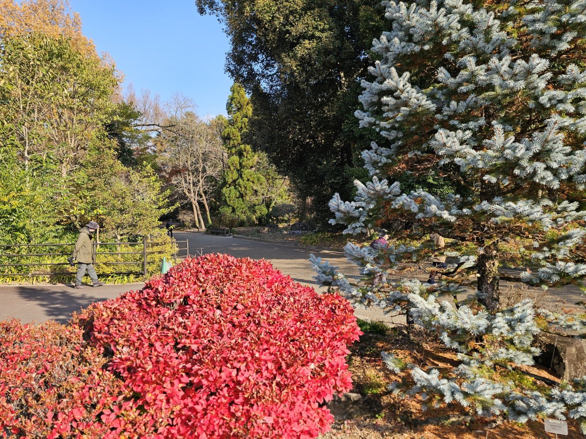 Kyoto Botanical Gardens