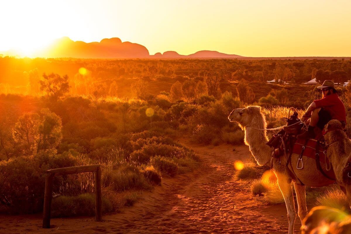 Na výletě k Uluru a Kata Tjuta jsme auto vyměnili za velbloudy