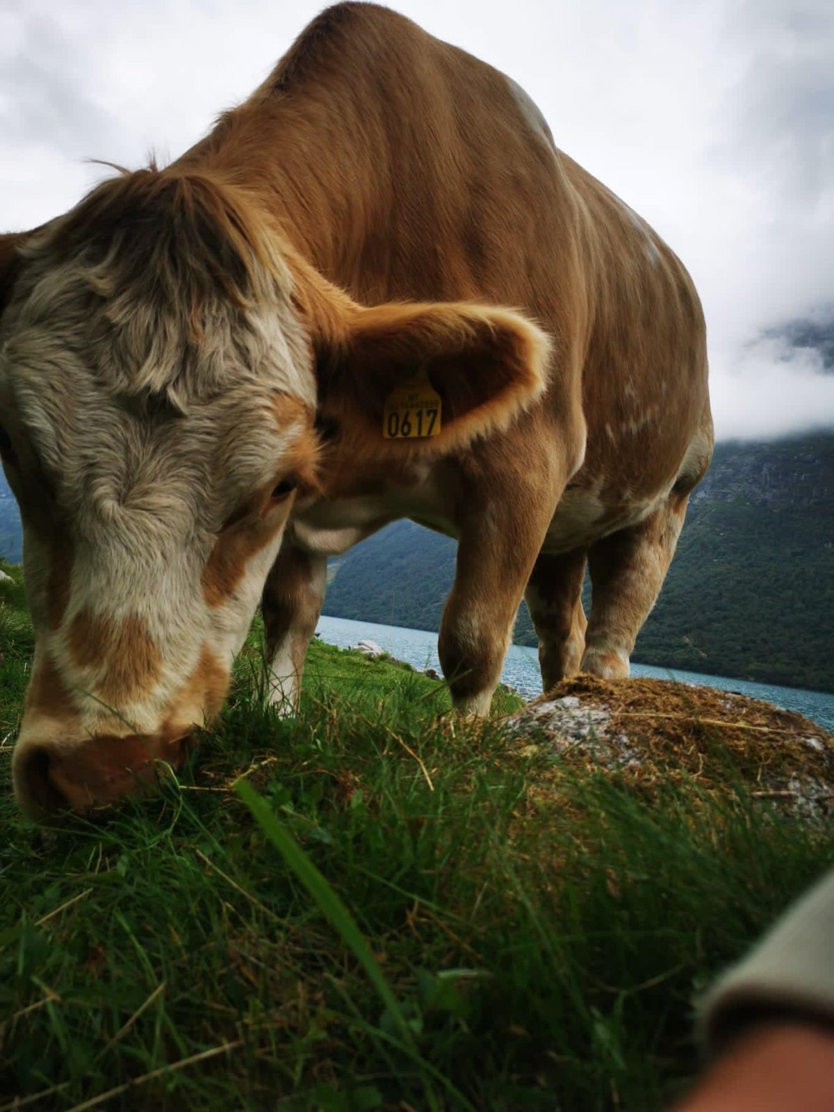 Snídaně v trávě ;)