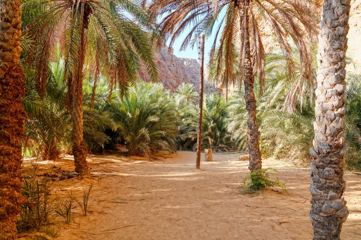 vstup do Wadi ash Shab