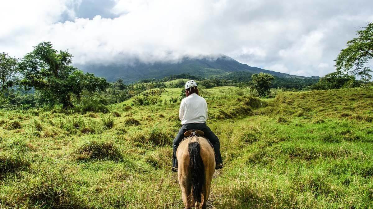 Cestou necestou, polem nepolem...