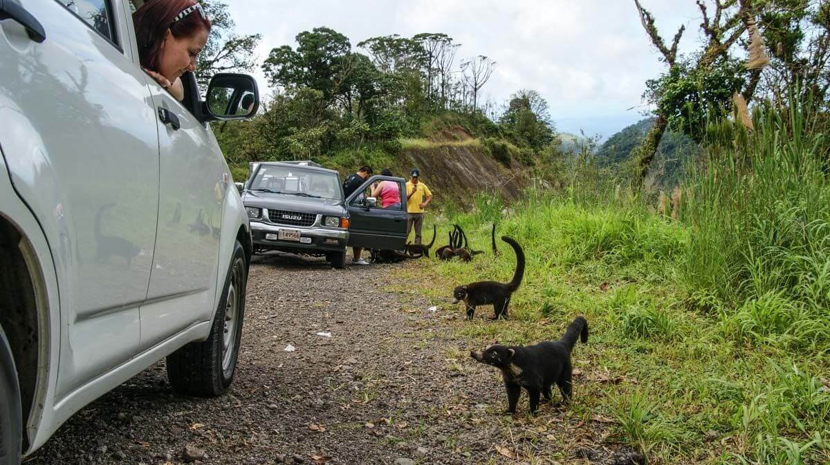 Čau, nemáte něco na zub? Nebo na dva?