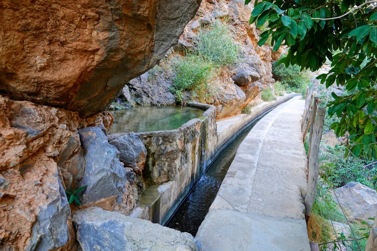 procházka kolem levády