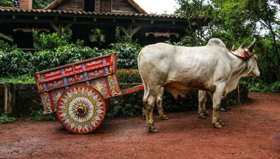 Jsme rádi, že jsme v půjčovně nedostali místo auta tohle.