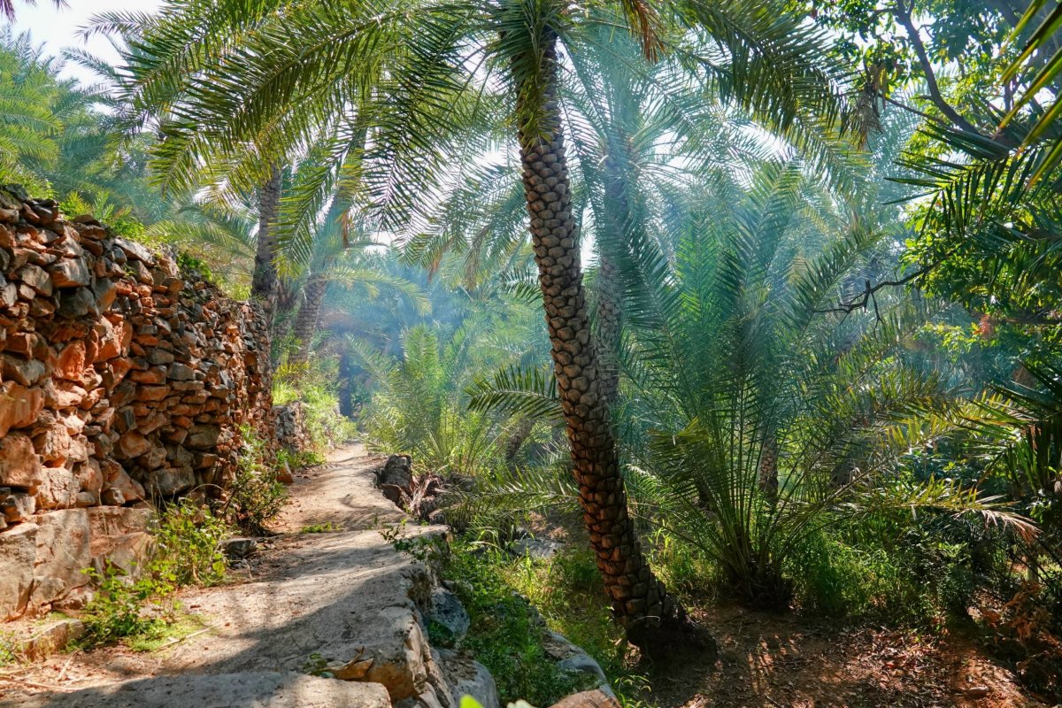 procházka skrz zahrady