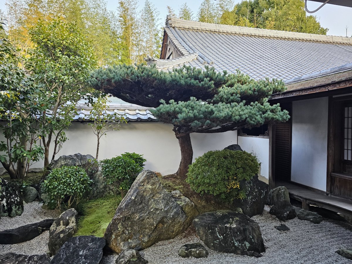 Zenová zahrada Daisen-in v areálu Daitoku-ji