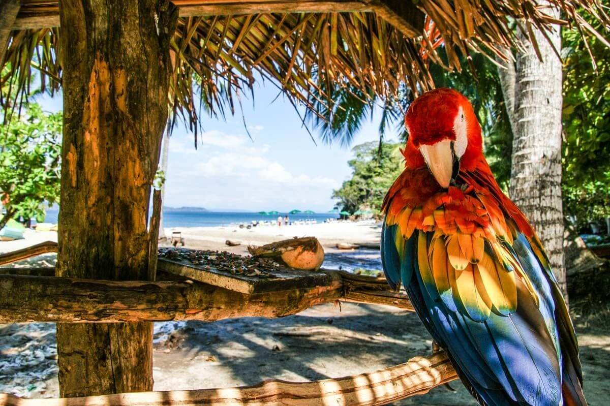 Pohodový ostrůvek Isla Tortuga