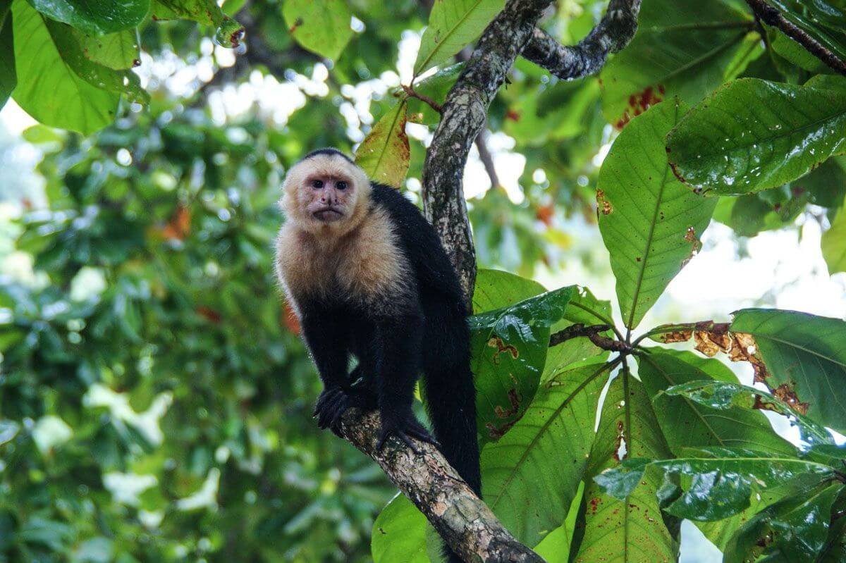 Co máš v tom báglu, hele? Se na to asi budu muset jít podívat...