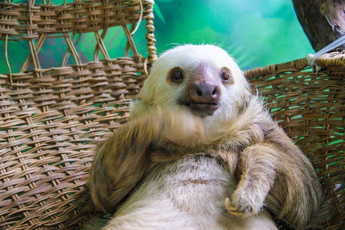 Tak si sedněte, děti, já vám povím pohádku a upletu ponožky