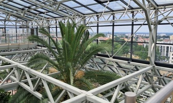 V nejvyšším patře palméria, okolní výhled na město