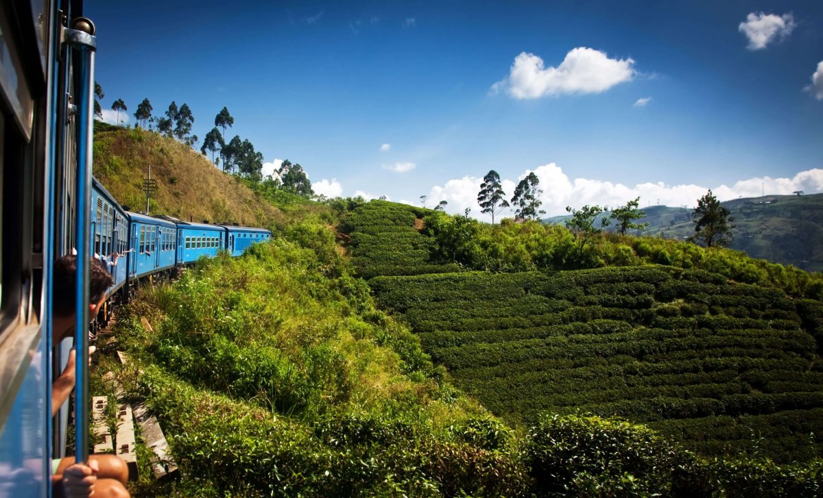Vlak na čajových plantážích
