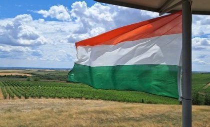 Pohled z rozhledny- za vlajkou vinohrady, ovoc-né sady a maďarské roviny