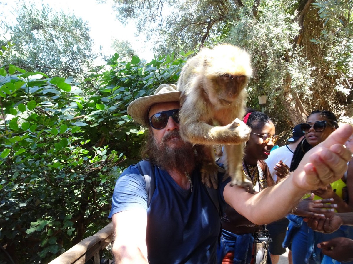 Při odjezdu od vodopádu jsme potkali opičí kamarády
