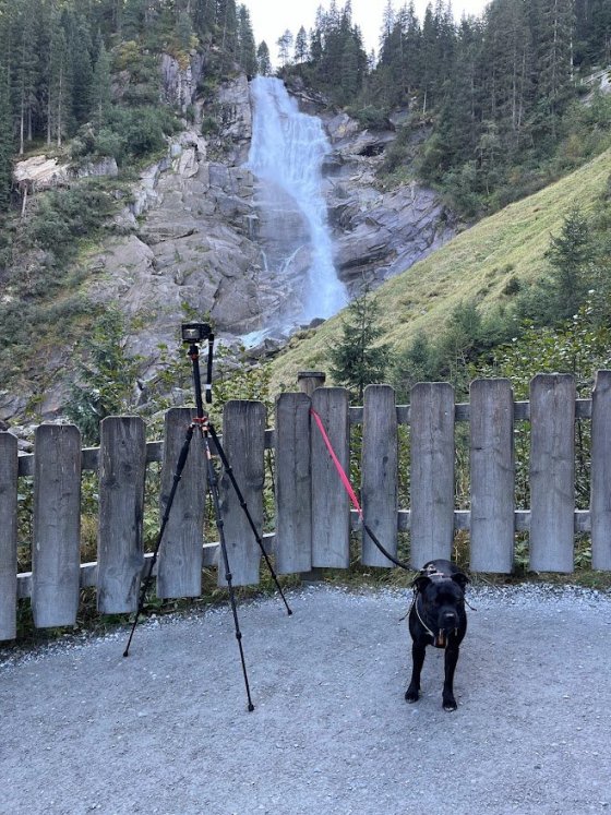 Když nemáš hlídání na psa, použij plot