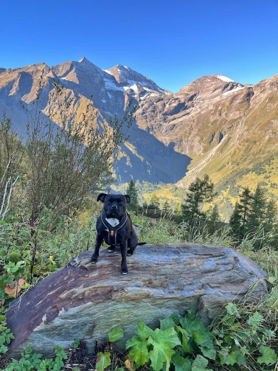 Náhodná zastávka na vyhlídce