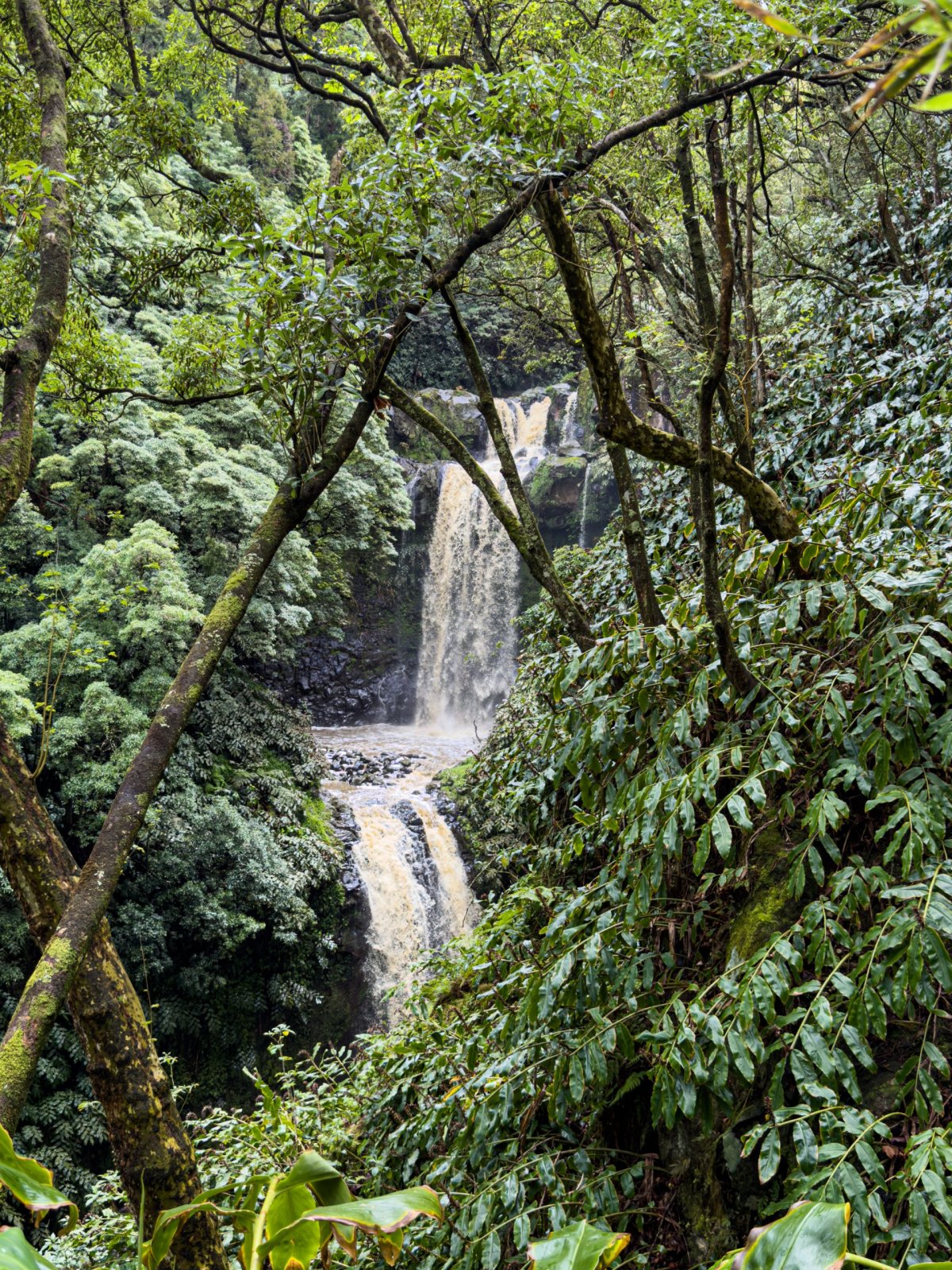  Miradouro das três bicas