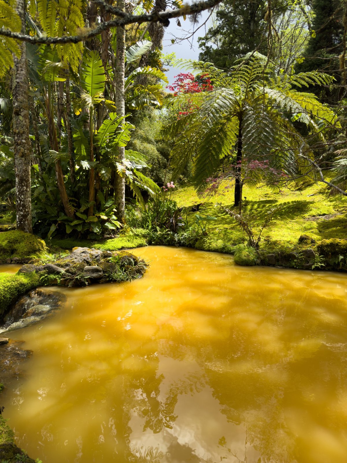 Parque Terra Nostra