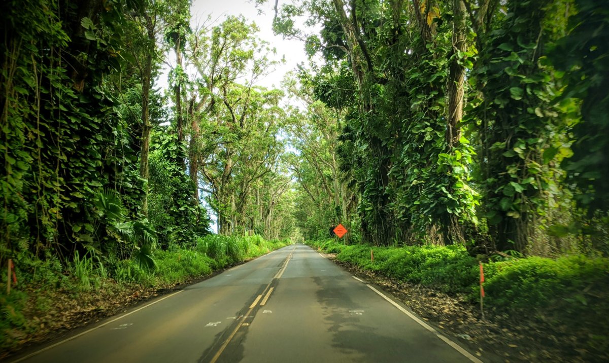 Kauai silnice