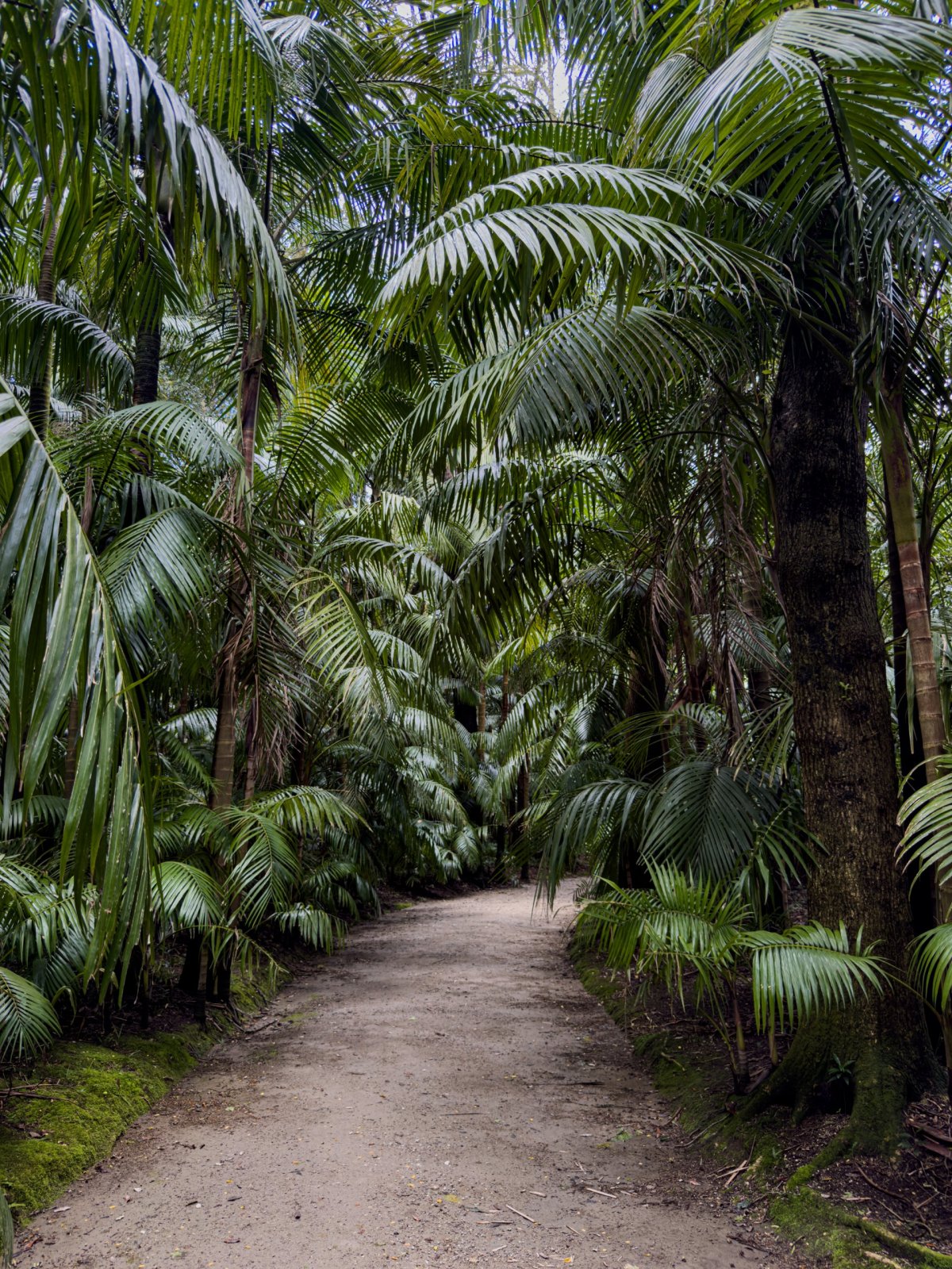 Parque Terra Nostra