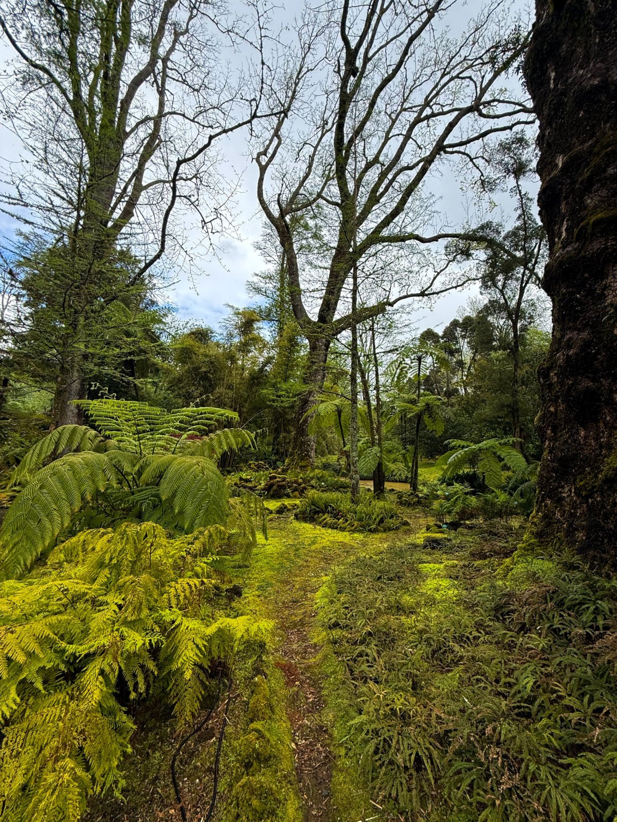 Parque Terra Nostra