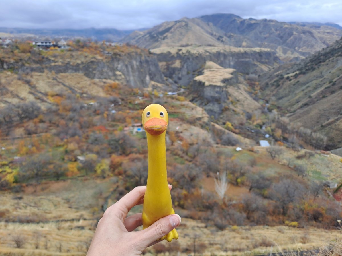 Výhledy jsou vskutku bombastické