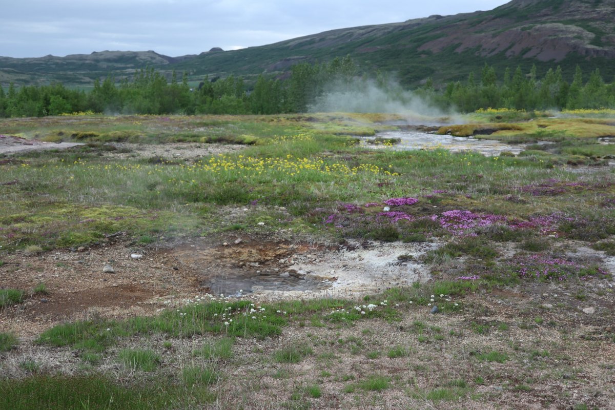 Okolí Geysiru.