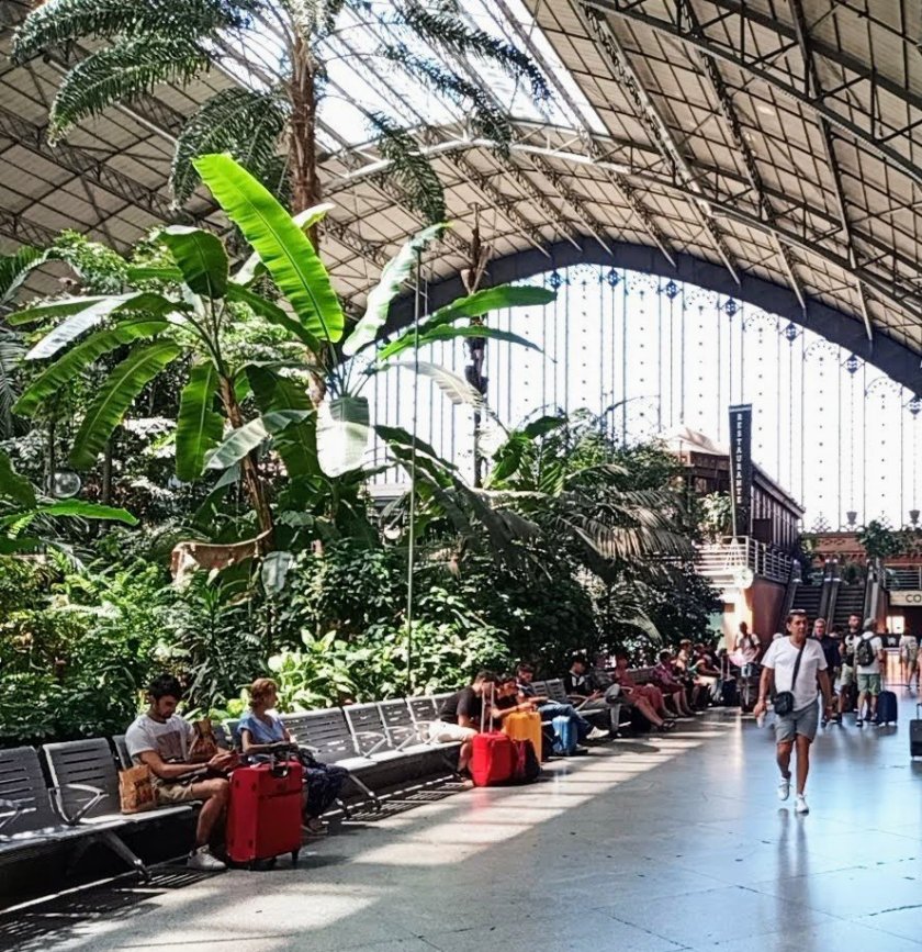 Skleníky v nádražní hale Madrid de Atocha