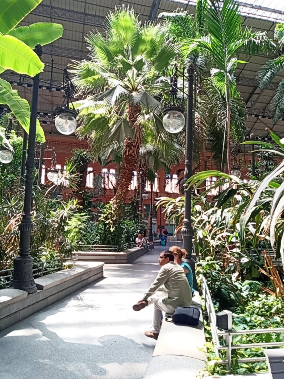 Skleník na nádraží Madrid de Atocha