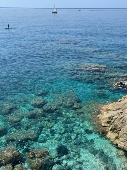 Všechny odstíny modré