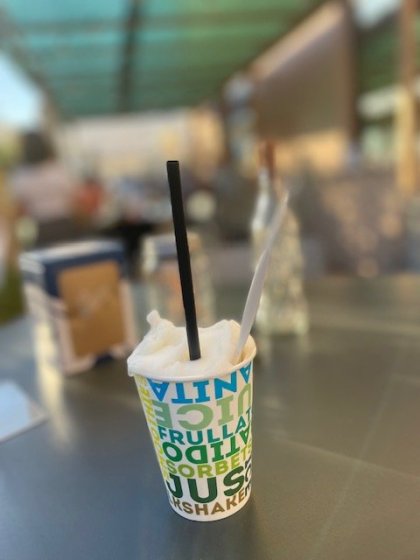 Citronový sorbet-osvěžení po horkém dni