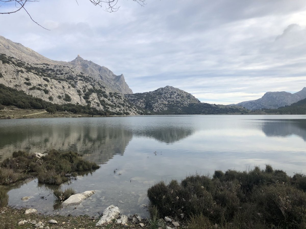 To byla krásná ranní podívaná