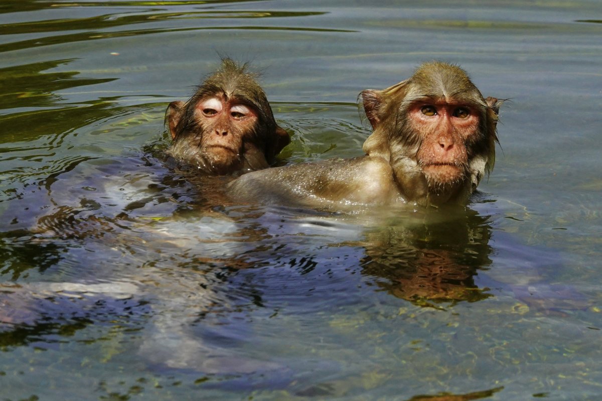 ... teplota vody je 30stupňů