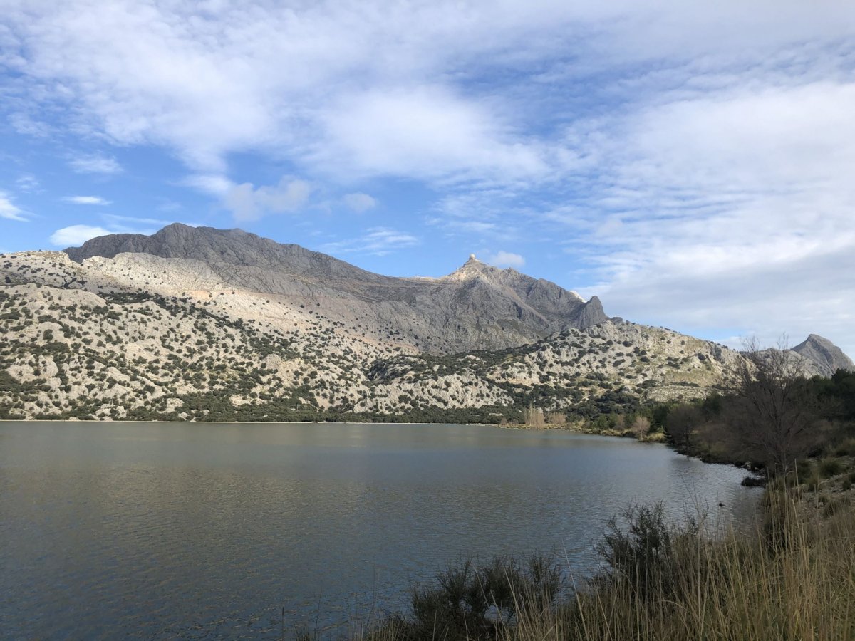 Majestátní, dominantní...