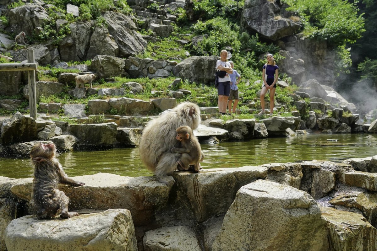 koupací jezírko vedle řeky