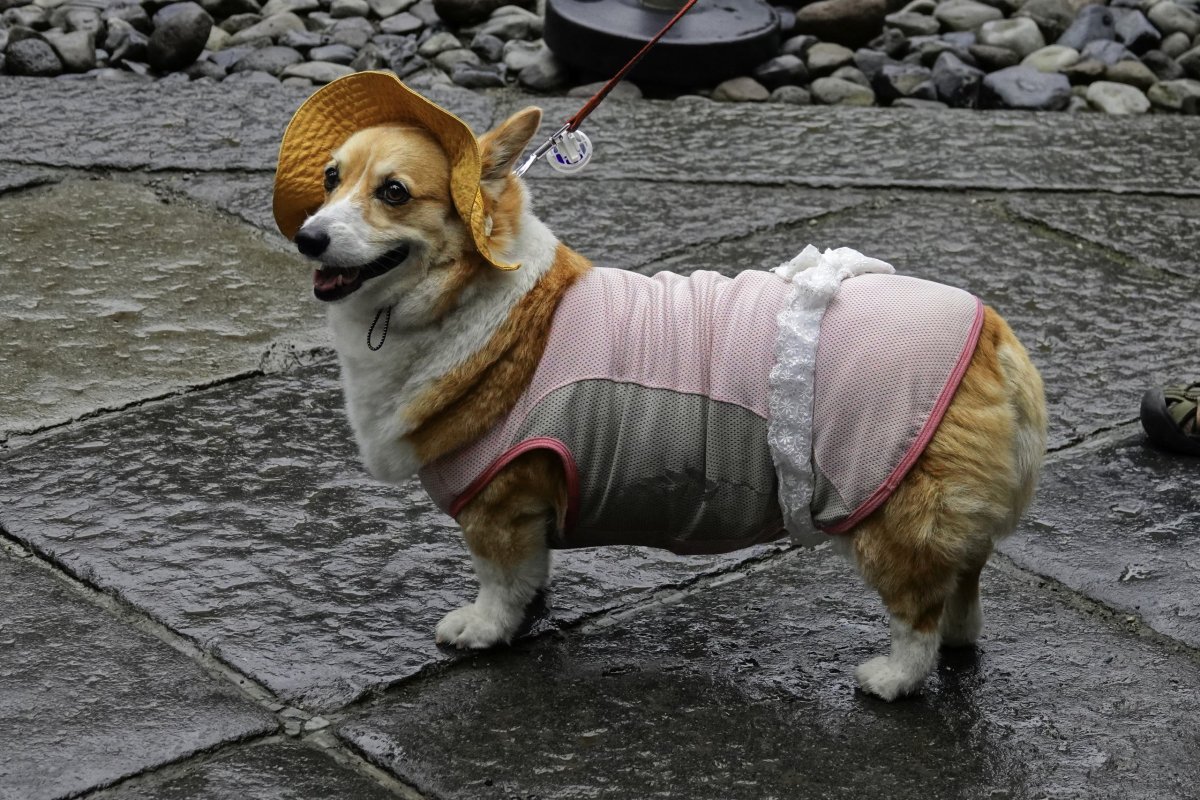 dnes bylo chladněji