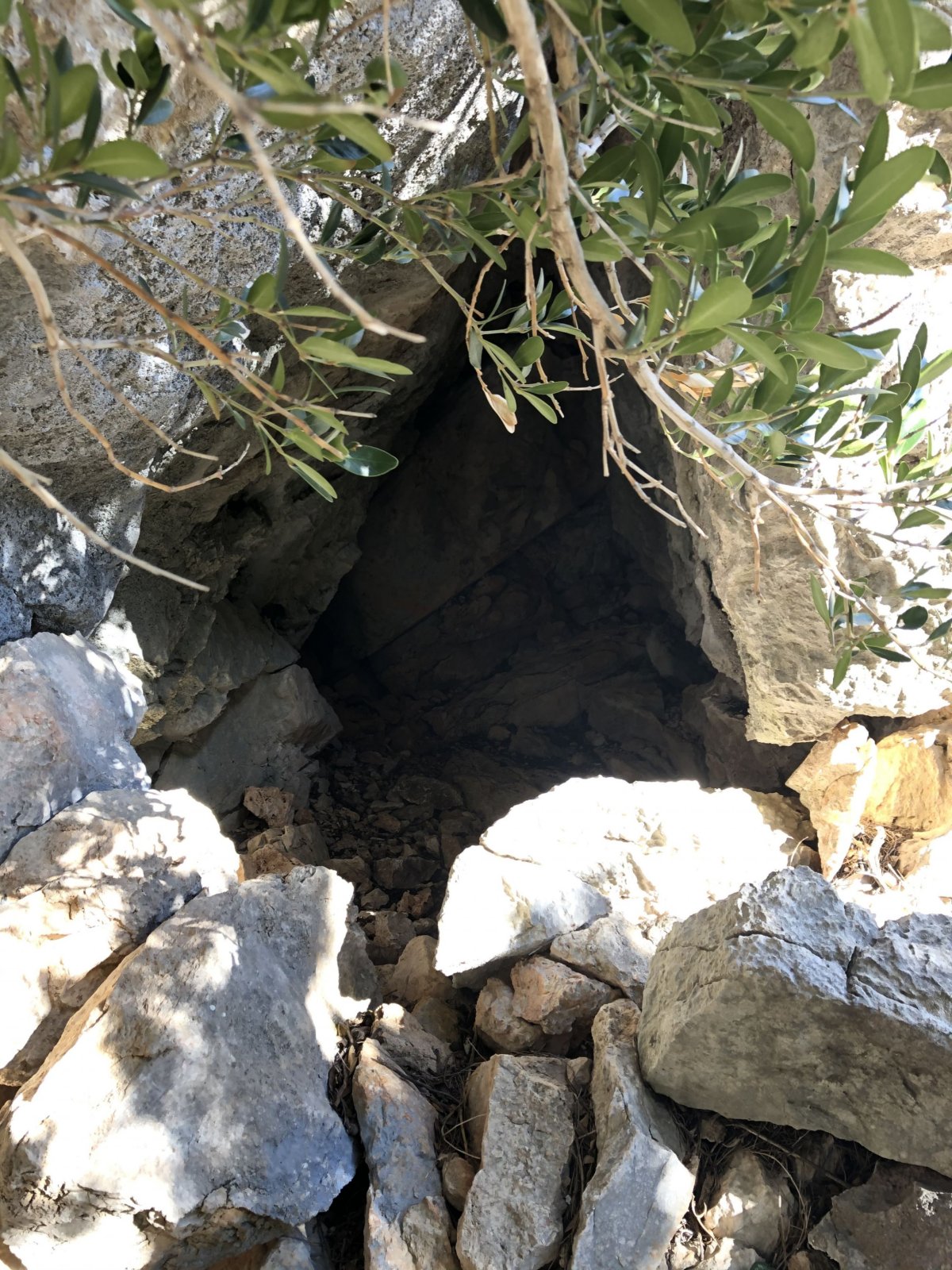 Parádní bejvák, který určitě zvládne hodně