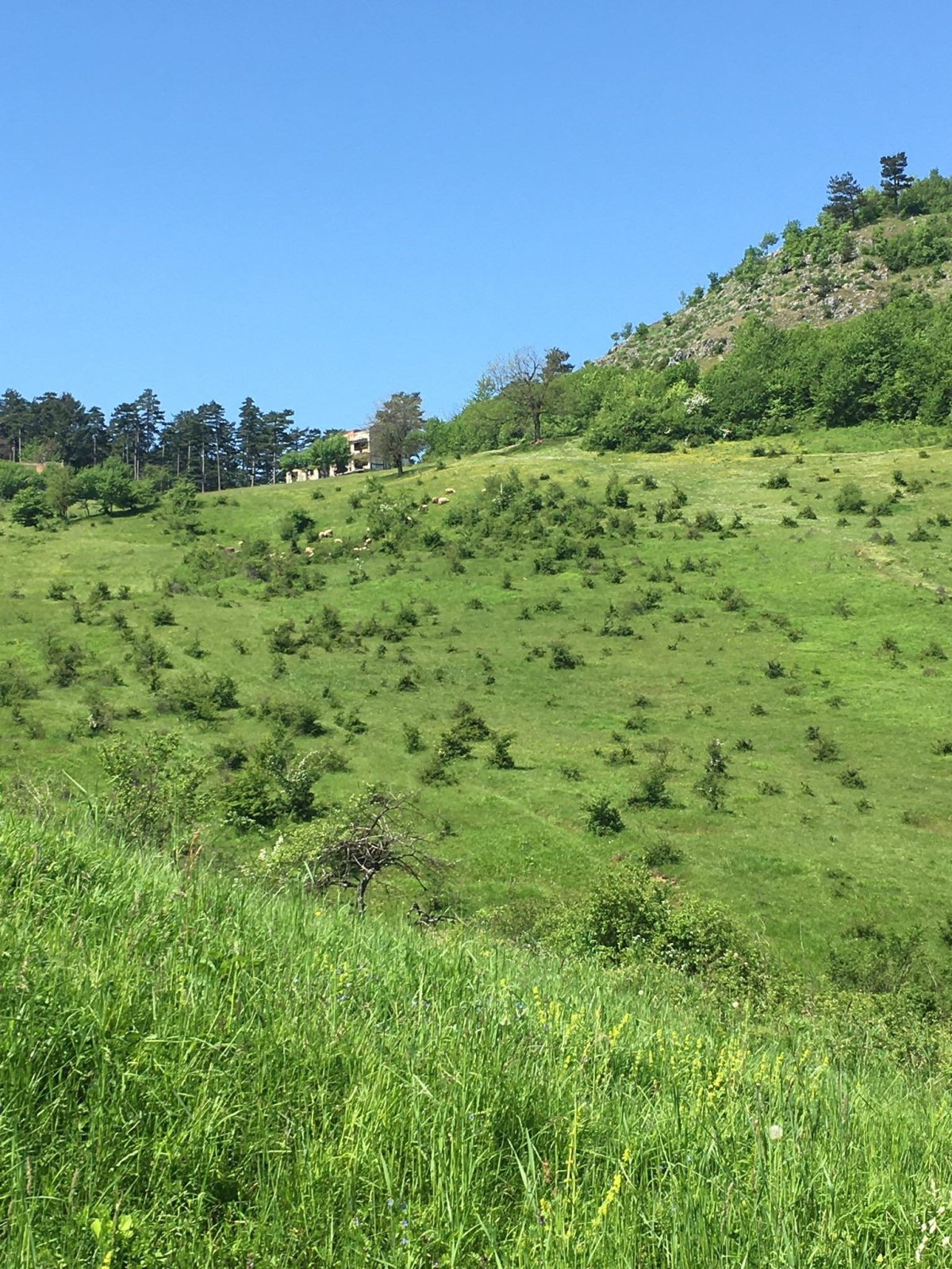 Něco málo z bosenské krajiny