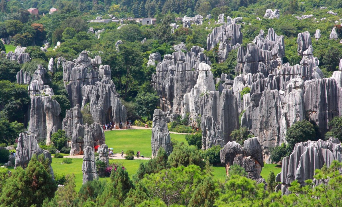 Kunming - Limestone Forest