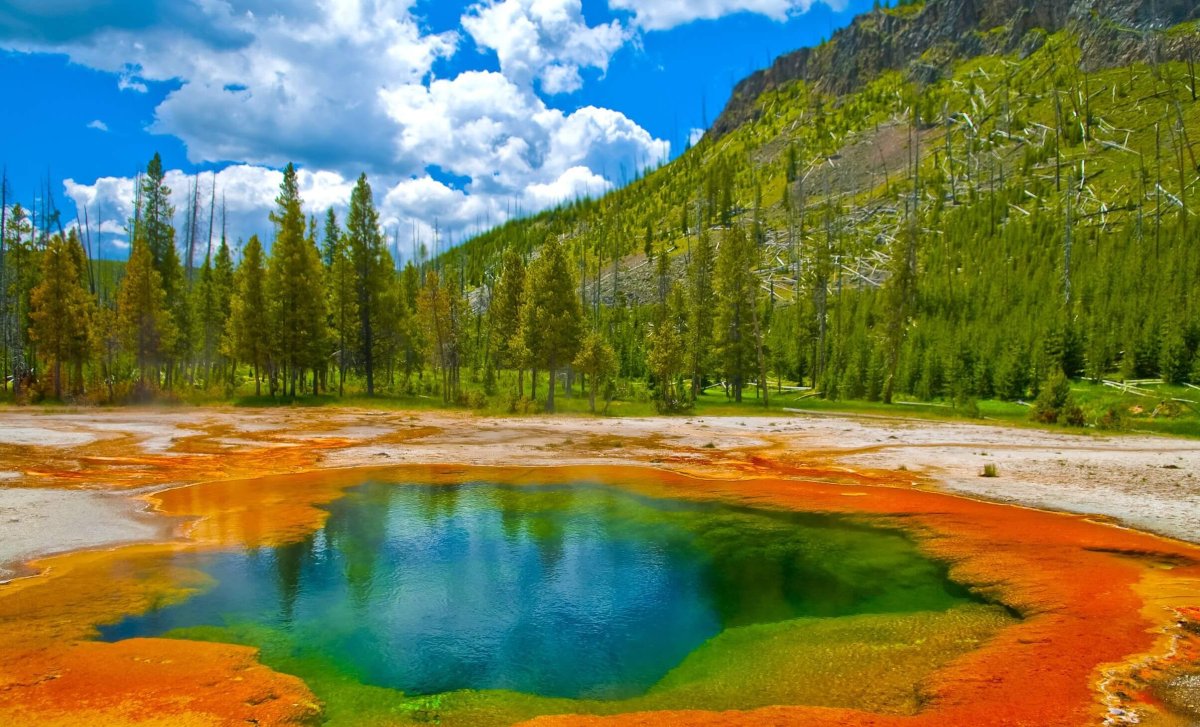 Yellowstone park