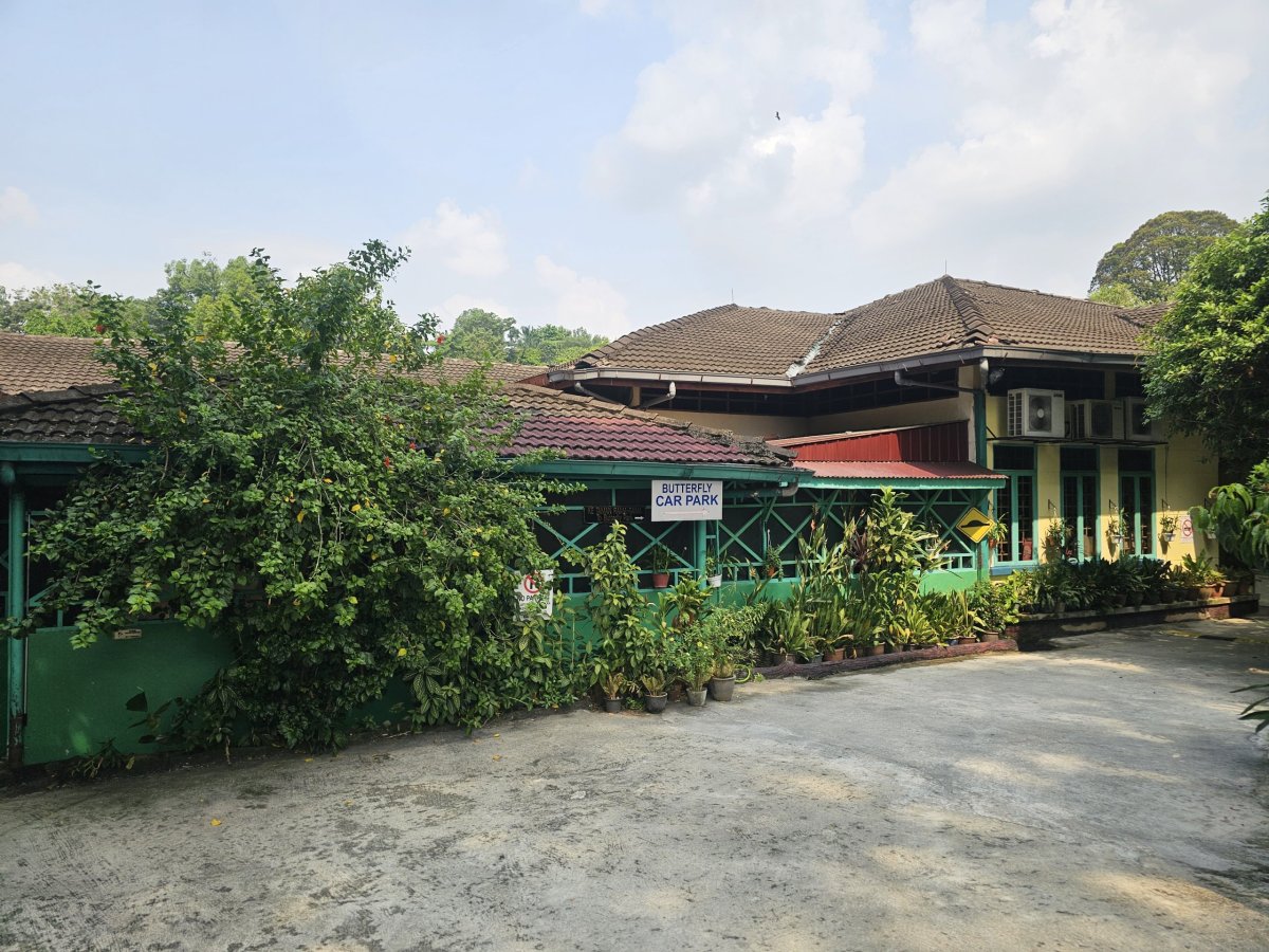 Butterfly Park, vchod