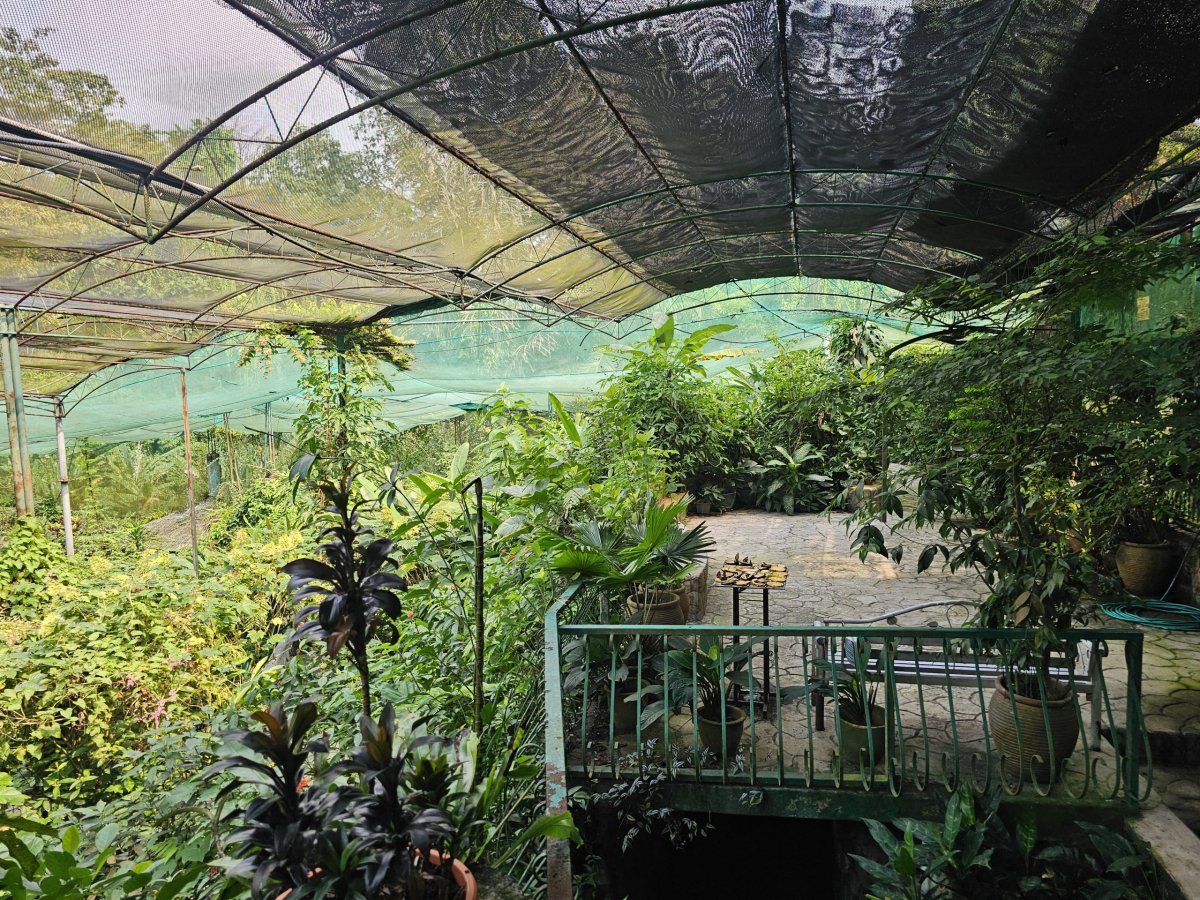 Butterfly Park