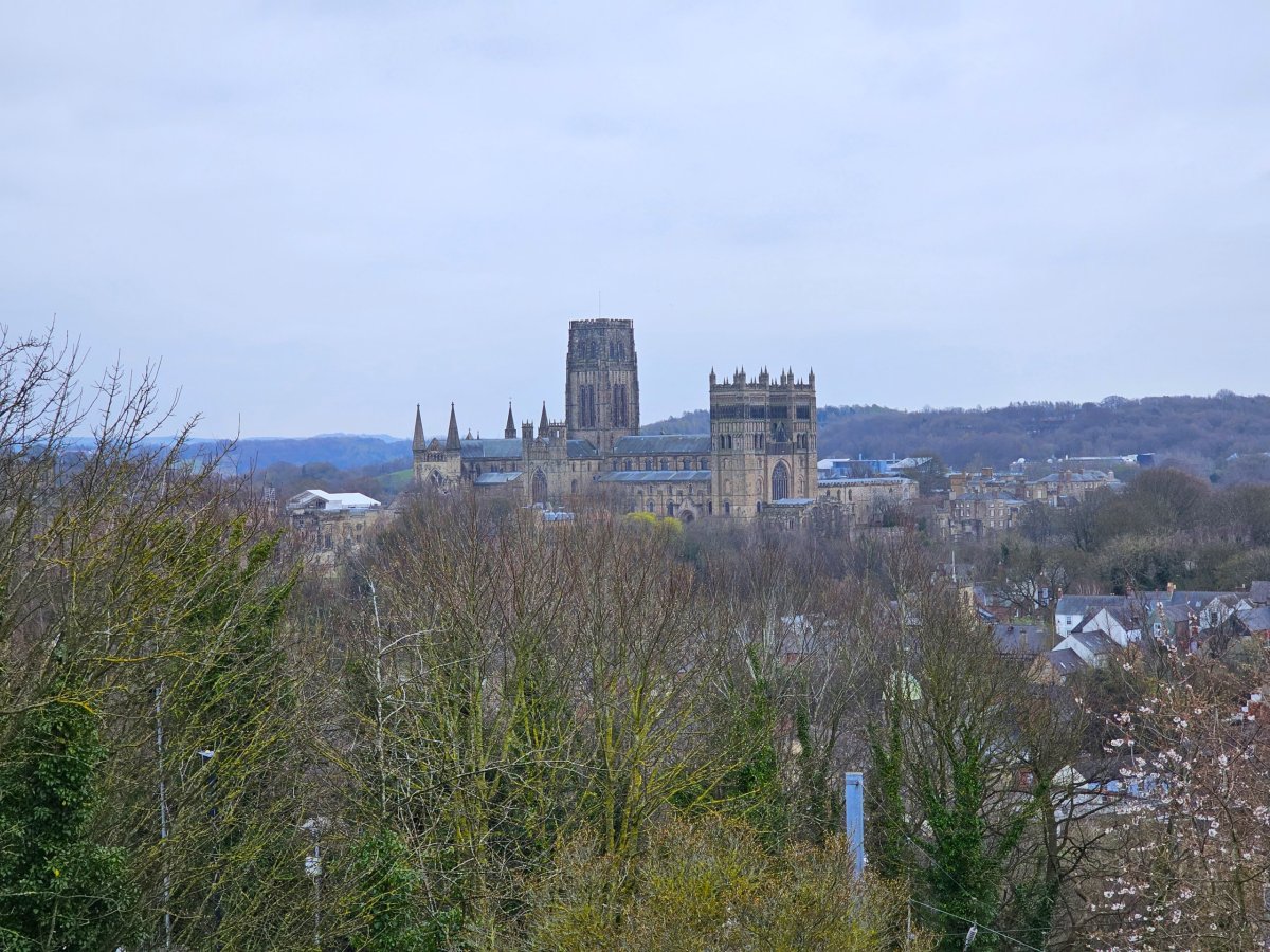 Vyhlídka z Wharton Park