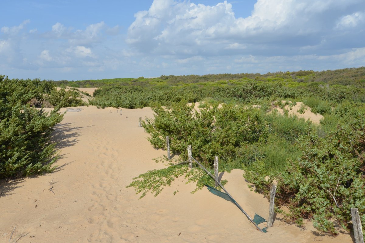 Pláž a rezervace Cava Randello