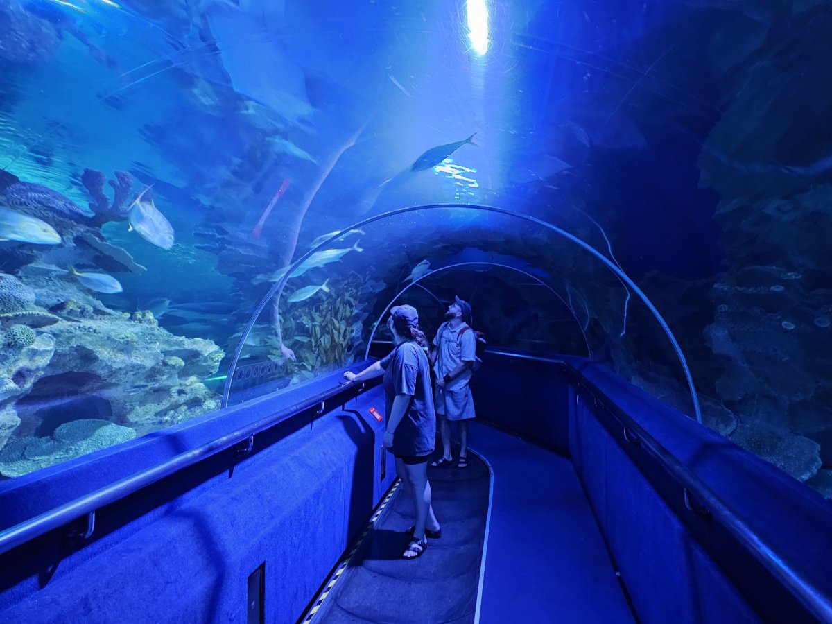 Podvodní tunel, Aquaria