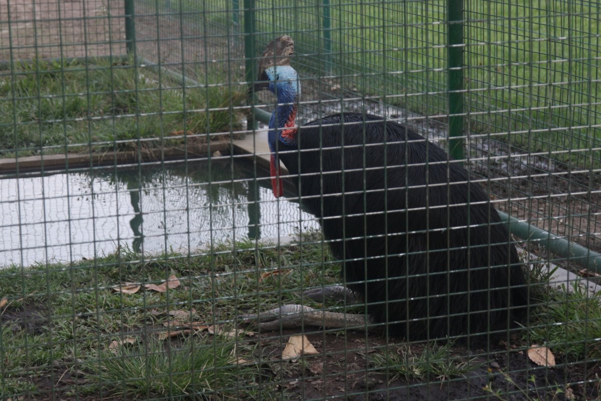 "Tady hlídám já!"